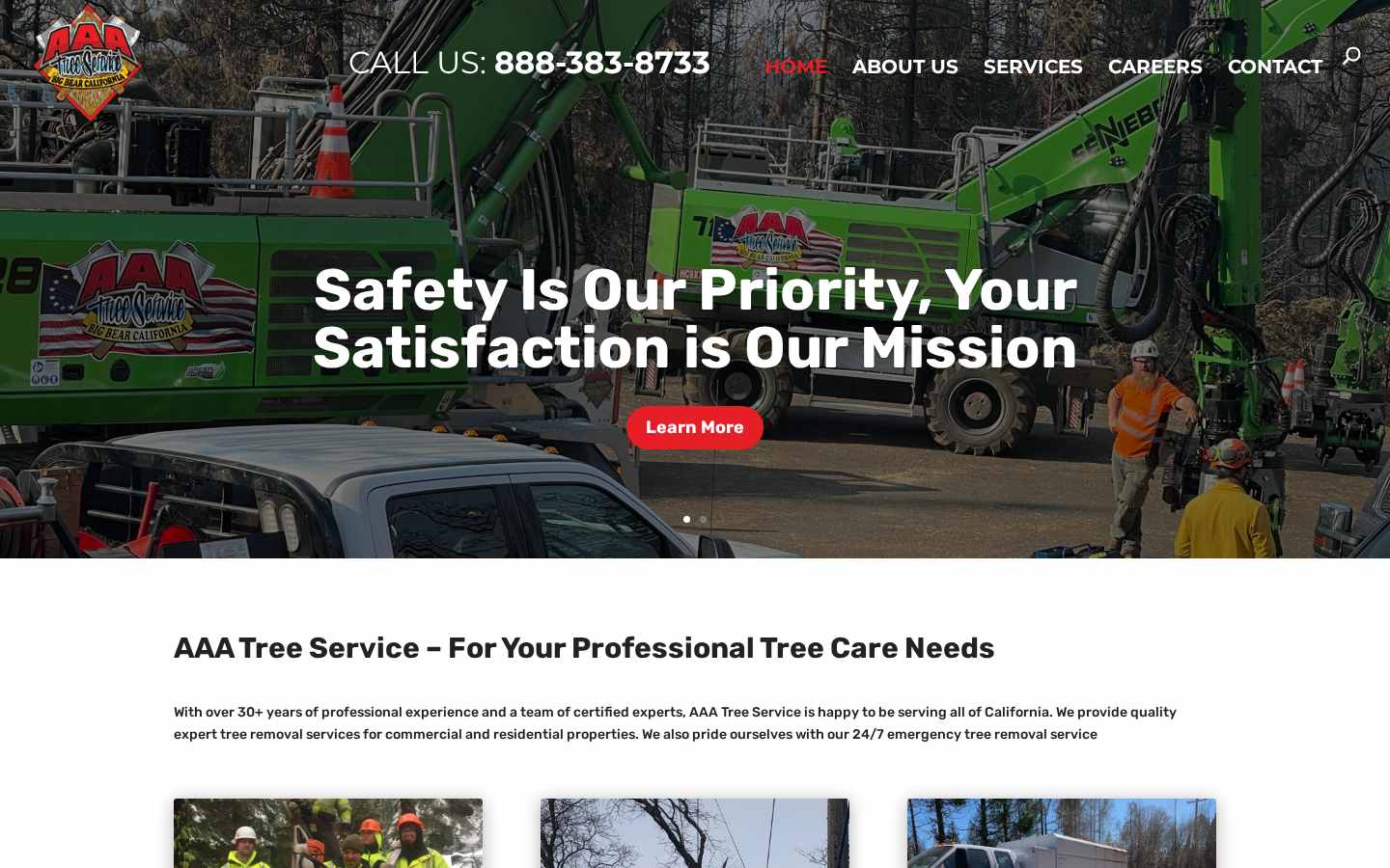 AAA Tree Service — case study cover