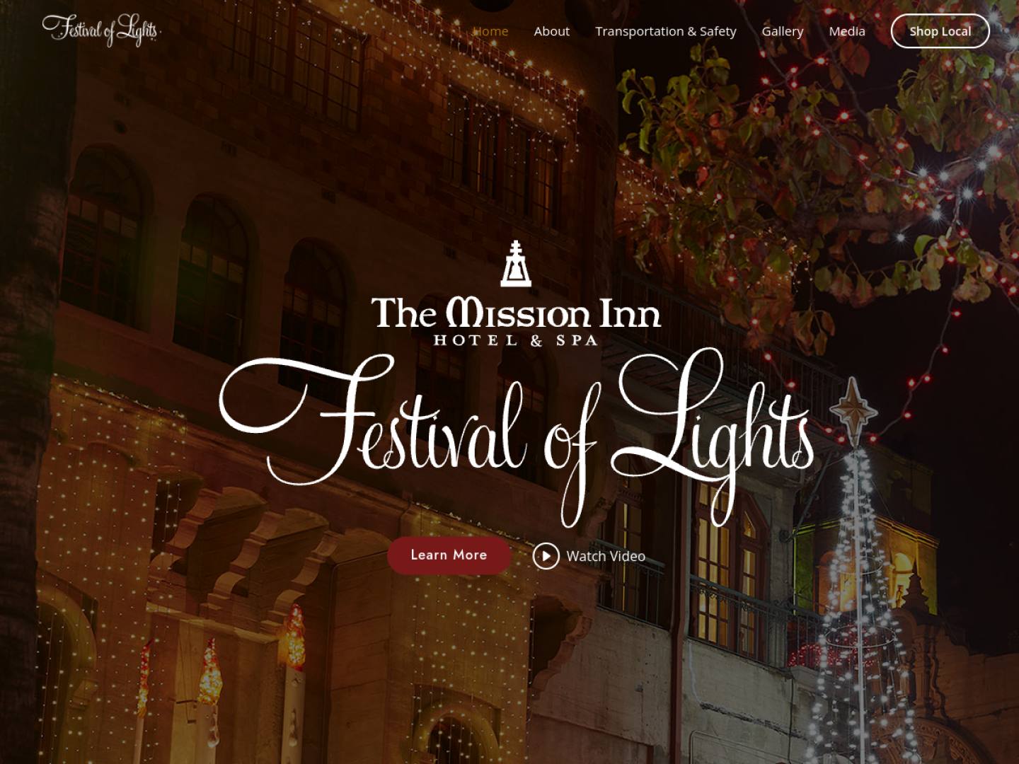 Festival of Lights — case study cover